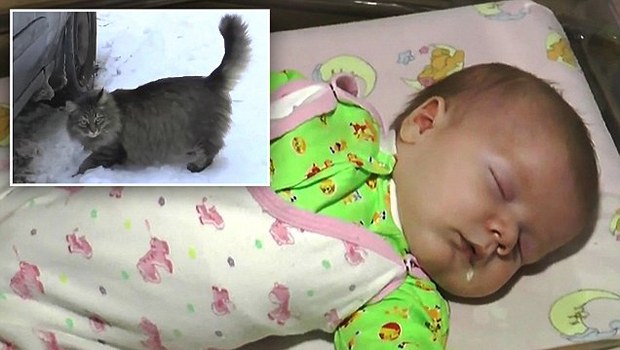 Kahraman Marsha bebeği böyle kurtardı